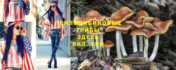 соль курить ск Белокуриха