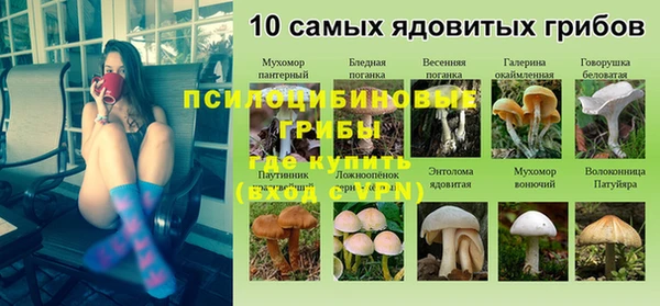 соль курить ск Белокуриха